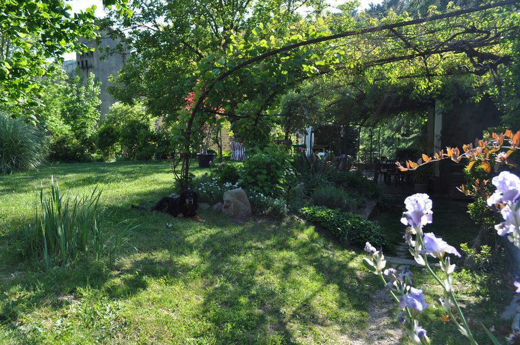 Bed and Breakfast La Ribeyrette Chamborigaud Zewnętrze zdjęcie